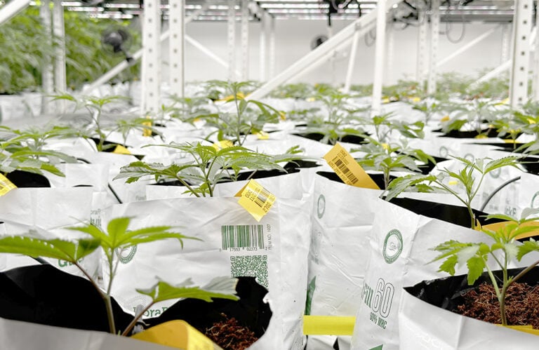Nursery
