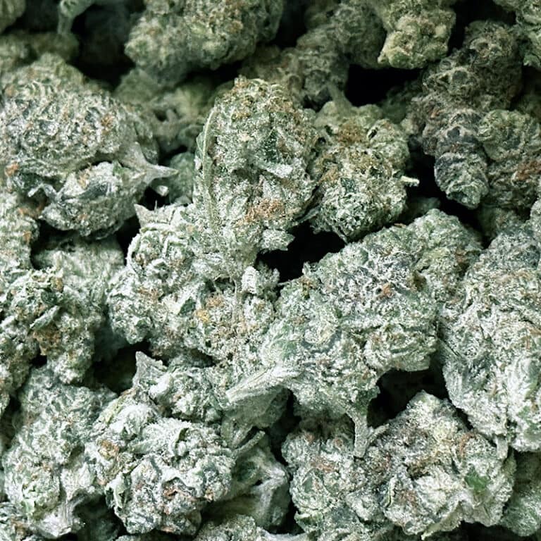 Frosty Nugs